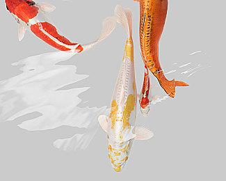 Switch早期系统界面曝光 采用上下结构